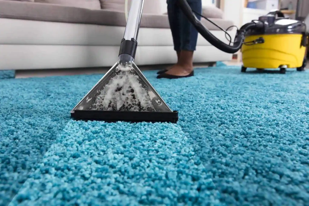 Cheap Carpet Cleaning Services Near